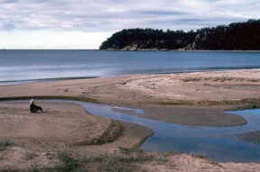 Twofold Bay
