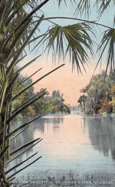 St. Johns River Florida